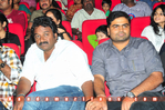 Filename=Brindavanam_TPD_196.jpg
Filesize=169KiB
Dimensions=800x531
Date added=Apr 03, 2014 Brindavanam_TPD_196.jpg