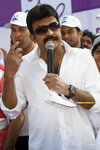 Filename=CWalk_021.jpg
Filesize=321KiB
Dimensions=1000x1496
Date added=Apr 04, 2014 CWalk_021.jpg