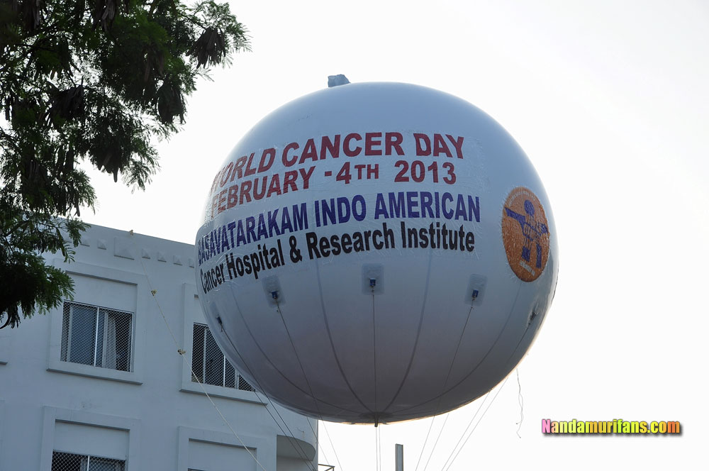 bt_cancerrun_2013101.jpg