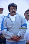 bt_cancerrun_2013004.jpg