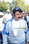 bt_cancerrun_2013033.jpg