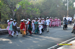 bt_cancerrun_2013040.jpg