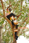 Filename=NTR_DAY5_VZM_010.jpg
Filesize=397KiB
Dimensions=700x1043
Date added=Apr 03, 2014 NTR_DAY5_VZM_010.jpg