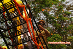 Filename=NTR_DAY8_VSP_028.jpg
Filesize=236KiB
Dimensions=800x536
Date added=Apr 03, 2014 NTR_DAY8_VSP_028.jpg
