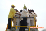 Filename=NBK_NEL_DAY1_179.jpg
Filesize=72KiB
Dimensions=800x531
Date added=Apr 03, 2014 NBK_NEL_DAY1_179.jpg