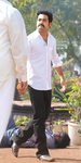 Dhammu_015.jpg