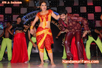 Filename=FNCC-024.jpg
Filesize=110KiB
Dimensions=677x453
Date added=Apr 03, 2014 FNCC-024.jpg