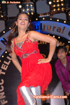 Filename=FNCC-055.jpg
Filesize=100KiB
Dimensions=500x747
Date added=Apr 03, 2014 FNCC-055.jpg