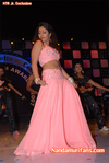 Filename=FNCC-107.jpg
Filesize=77KiB
Dimensions=500x747
Date added=Apr 03, 2014 FNCC-107.jpg