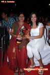 Filename=FNCC-246.jpg
Filesize=99KiB
Dimensions=500x752
Date added=Apr 03, 2014 FNCC-246.jpg
