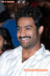Filename=FNCC-265.jpg
Filesize=96KiB
Dimensions=500x752
Date added=Apr 03, 2014 FNCC-265.jpg