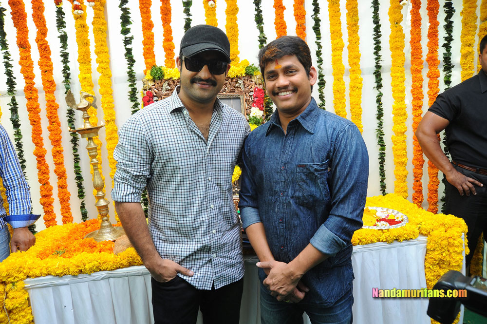 ntrsrinivas-020.jpg