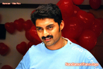 Filename=Hareram_022.jpg
Filesize=87KiB
Dimensions=750x502
Date added=Apr 03, 2014 Hareram_022.jpg