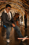 Filename=Hareram_088.jpg
Filesize=289KiB
Dimensions=600x902
Date added=Apr 03, 2014 Hareram_088.jpg