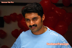 Filename=Hareram_185.jpg
Filesize=74KiB
Dimensions=700x469
Date added=Apr 03, 2014 Hareram_185.jpg
