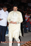 Filename=ILH_GF_031.jpg
Filesize=233KiB
Dimensions=800x1202
Date added=Apr 03, 2014 ILH_GF_031.jpg