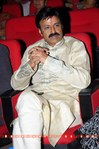 Filename=ILH_GF_035.jpg
Filesize=308KiB
Dimensions=800x1202
Date added=Apr 03, 2014 ILH_GF_035.jpg