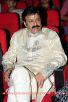 Filename=ILH_GF_038.jpg
Filesize=313KiB
Dimensions=800x1202
Date added=Apr 03, 2014 ILH_GF_038.jpg