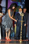 Filename=ILH_GF_044.jpg
Filesize=285KiB
Dimensions=800x1202
Date added=Apr 03, 2014 ILH_GF_044.jpg