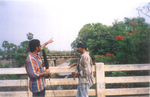 Filename=021.jpg
Filesize=53KiB
Dimensions=618x400
Date added=Apr 03, 2014 021.jpg