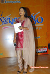 Filename=KBL-Audio-039.jpg
Filesize=182KiB
Dimensions=600x896
Date added=Apr 03, 2014 KBL-Audio-039.jpg