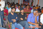Filename=KBL-Audio-105.jpg
Filesize=133KiB
Dimensions=747x500
Date added=Apr 03, 2014 KBL-Audio-105.jpg