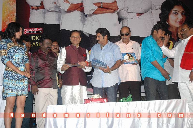 Maa_Annayya_Audio_071.jpg