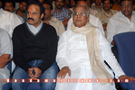 Filename=MaaChannels_066.jpg
Filesize=117KiB
Dimensions=800x537
Date added=Apr 03, 2014 MaaChannels_066.jpg