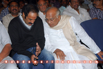 Filename=MaaChannels_070.jpg
Filesize=121KiB
Dimensions=800x537
Date added=Apr 03, 2014 MaaChannels_070.jpg