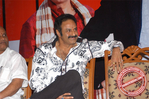 Filename=mdp013.jpg
Filesize=98KiB
Dimensions=677x450
Date added=Apr 04, 2014 mdp013.jpg