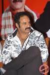 Filename=mdp019.jpg
Filesize=171KiB
Dimensions=677x1019
Date added=Apr 04, 2014 mdp019.jpg