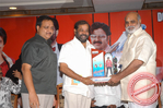 Filename=mdp025.jpg
Filesize=85KiB
Dimensions=677x450
Date added=Apr 04, 2014 mdp025.jpg