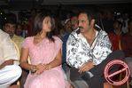 Filename=mdp052.jpg
Filesize=91KiB
Dimensions=677x450
Date added=Apr 04, 2014 mdp052.jpg