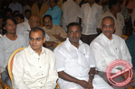 Filename=mdp056.jpg
Filesize=82KiB
Dimensions=677x450
Date added=Apr 04, 2014 mdp056.jpg