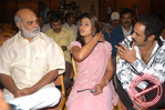 Filename=mdp060.jpg
Filesize=97KiB
Dimensions=677x450
Date added=Apr 04, 2014 mdp060.jpg