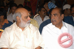 Filename=mdp071.jpg
Filesize=70KiB
Dimensions=677x450
Date added=Apr 04, 2014 mdp071.jpg