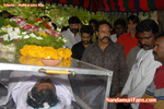 Tribute_mjrao_034.jpg