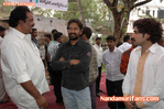 Filename=Markwell_0__125_.jpg
Filesize=97KiB
Dimensions=677x450
Date added=Apr 03, 2014 Markwell_0__125_.jpg