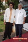 Filename=Markwell_0__23_.jpg
Filesize=104KiB
Dimensions=500x753
Date added=Apr 03, 2014 Markwell_0__23_.jpg