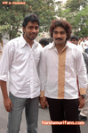 Filename=Markwell_0__38_.jpg
Filesize=114KiB
Dimensions=500x753
Date added=Apr 03, 2014 Markwell_0__38_.jpg