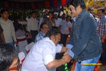 Filename=nbkrcm_108.jpg
Filesize=197KiB
Dimensions=1000x671
Date added=Apr 04, 2014 nbkrcm_108.jpg