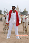 Filename=NBK-YG-12.jpg
Filesize=184KiB
Dimensions=600x902
Date added=Apr 04, 2014 NBK-YG-12.jpg