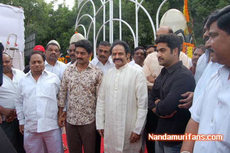 NTR-Jayanthi-2008-079.jpg