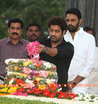 Filename=ntrghat11-004.jpg
Filesize=245KiB
Dimensions=800x844
Date added=Apr 03, 2014 ntrghat11-004.jpg