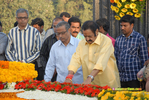 Filename=NTRVardhanthi2013_124.jpg
Filesize=252KiB
Dimensions=1000x671
Date added=Apr 03, 2014 NTRVardhanthi2013_124.jpg