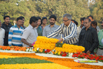 Filename=NTRVardhanthi2013_142.jpg
Filesize=275KiB
Dimensions=1000x671
Date added=Apr 03, 2014 NTRVardhanthi2013_142.jpg