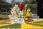 Filename=NTRVardhanthi2013_177.jpg
Filesize=313KiB
Dimensions=1000x667
Date added=Apr 03, 2014 NTRVardhanthi2013_177.jpg