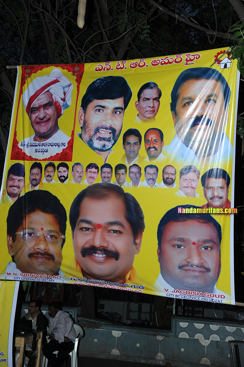 NTR_Vardhanthi_2014__006.jpg