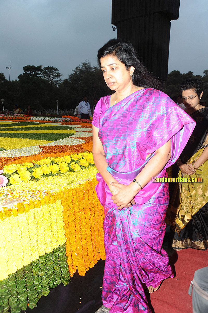 NTR_Vardhanthi_2014__051.jpg
