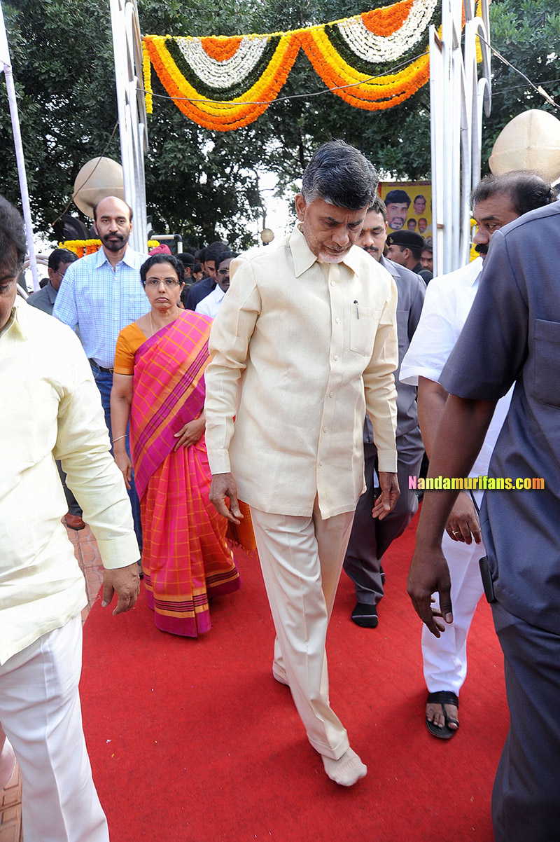 NTR_Vardhanthi_2014__081.jpg